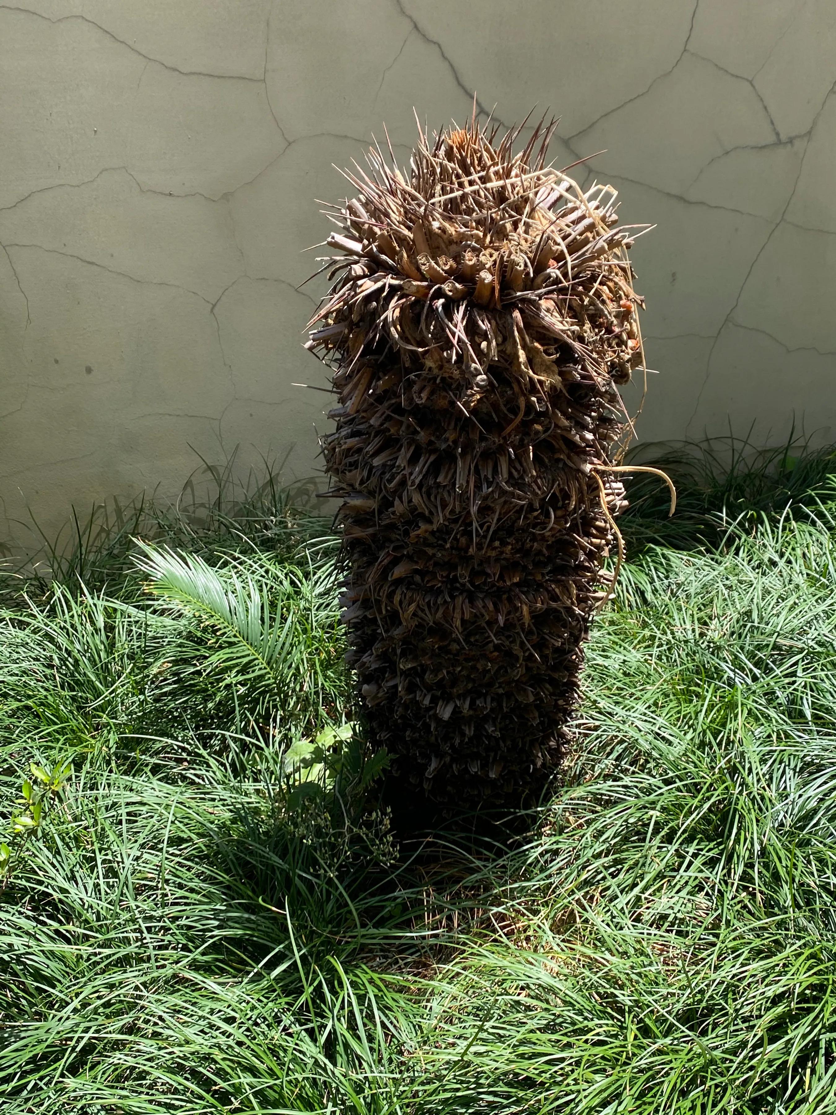 老公要二胎该怎么办,男朋友一定要二胎怎么办