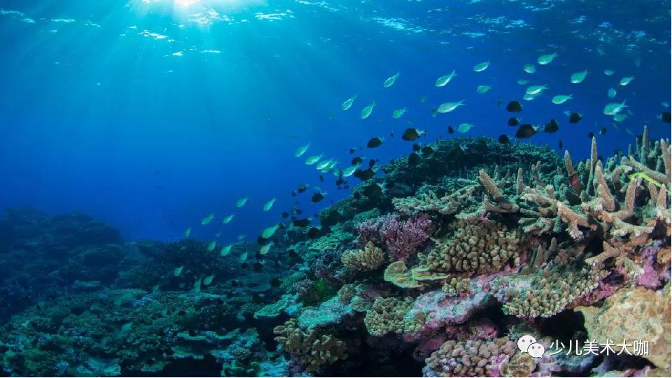 创意美术简单易学,创意美术幼儿