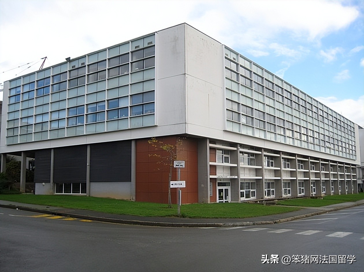 笨猪法语中文,笨猪法语