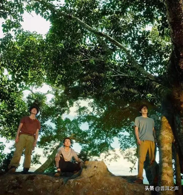 普洱咖啡主题电影《一点就到家》荣获华表奖优秀农村题材影片奖