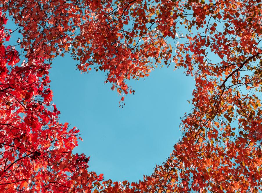 高山有意皆禅语,流水无情挂孤帆