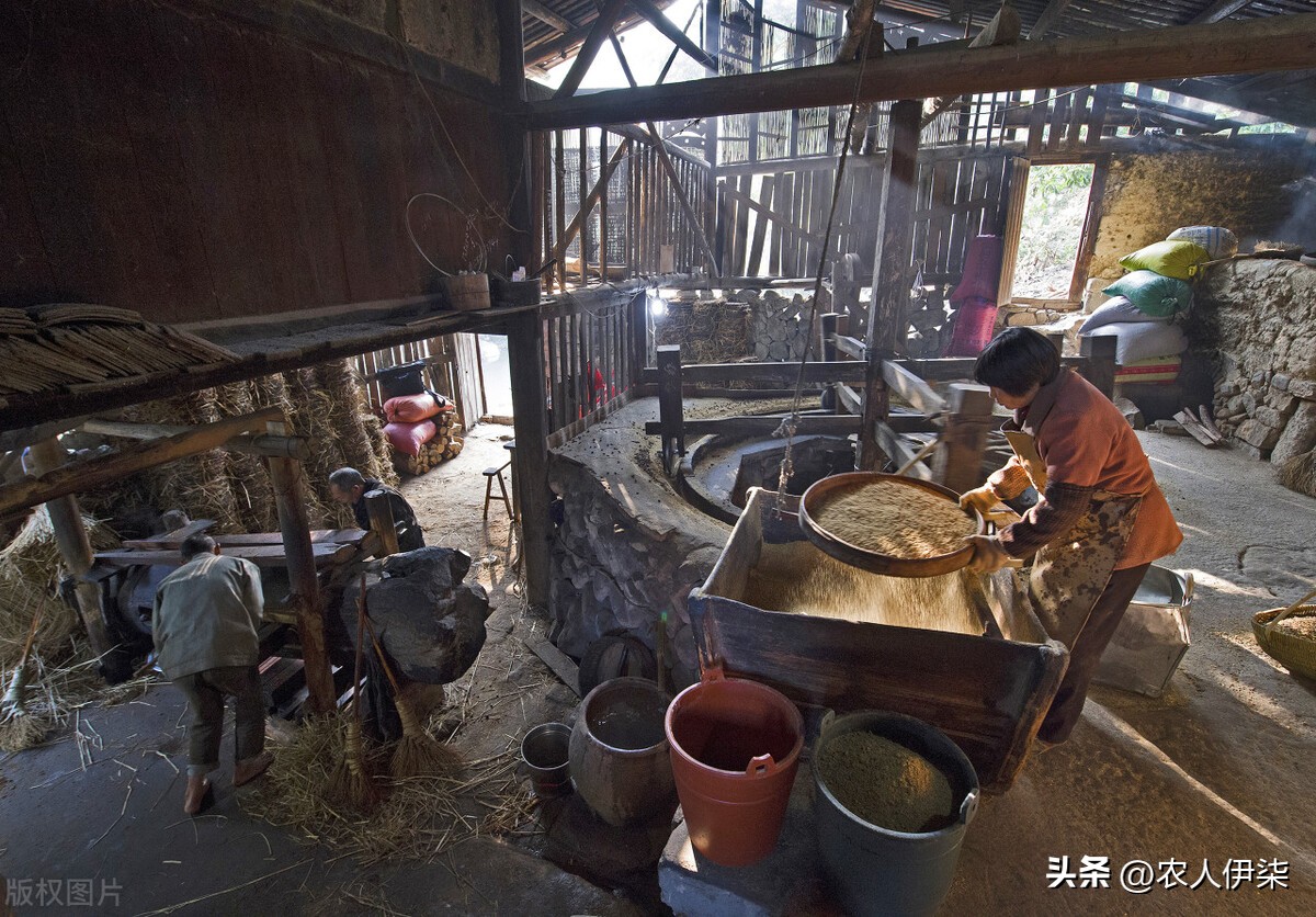 10元1斤的纯山茶油靠谱吗,正宗的茶油有多少钱1斤