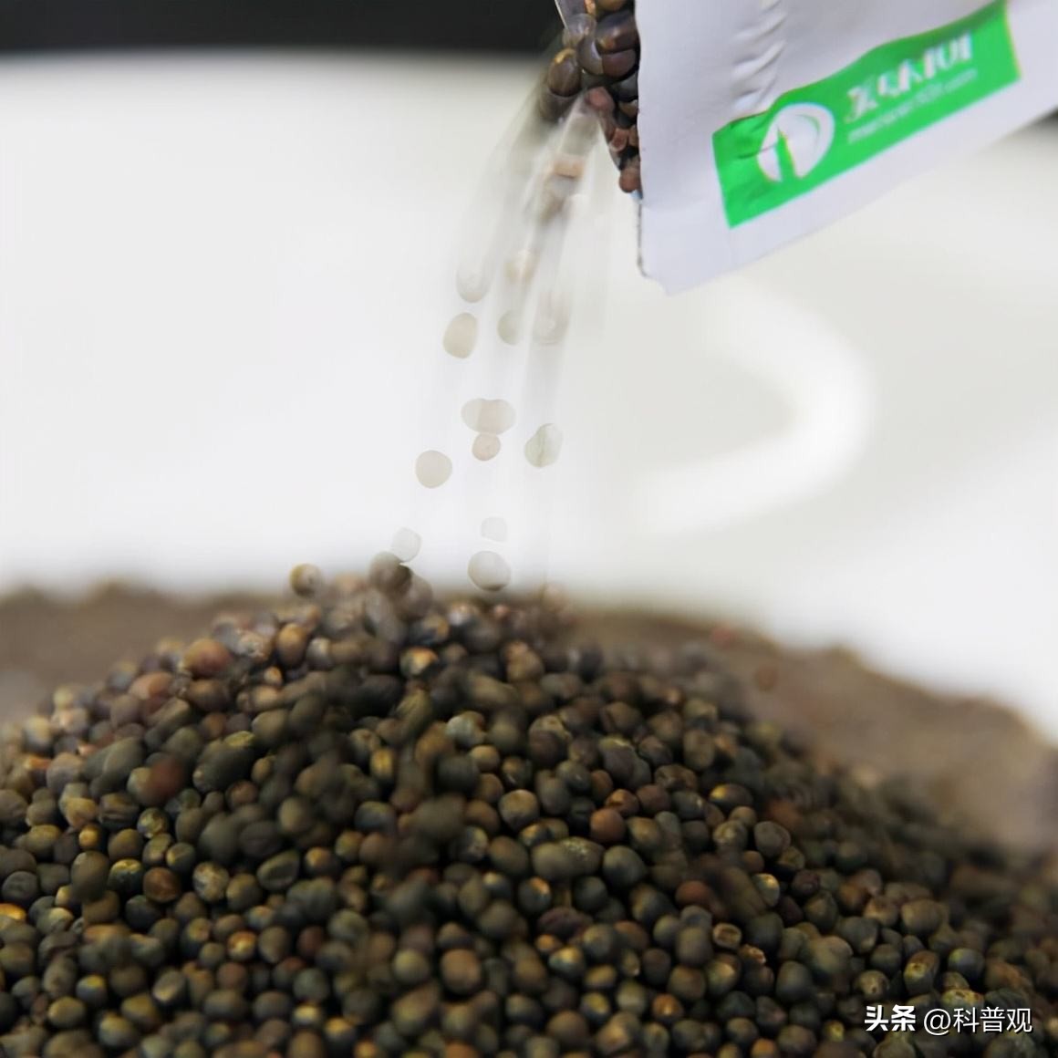 日本垄断中国市场百分之多少,打破西兰花种子垄断的原因