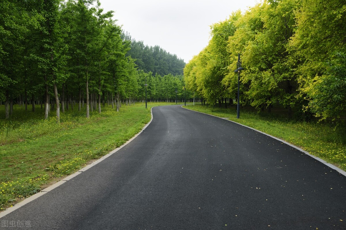 津北森林公园怎么样值得去吗,天津新晋森林主题公园