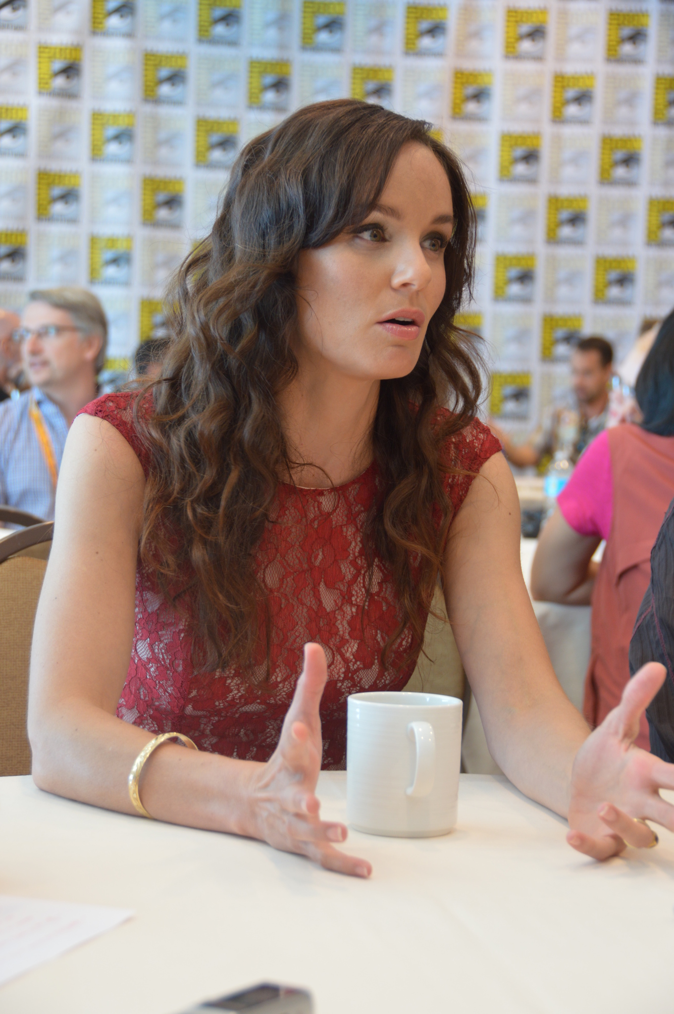 莎拉·韦恩·卡丽丝,莎拉韦恩卡丽丝在美国有名么