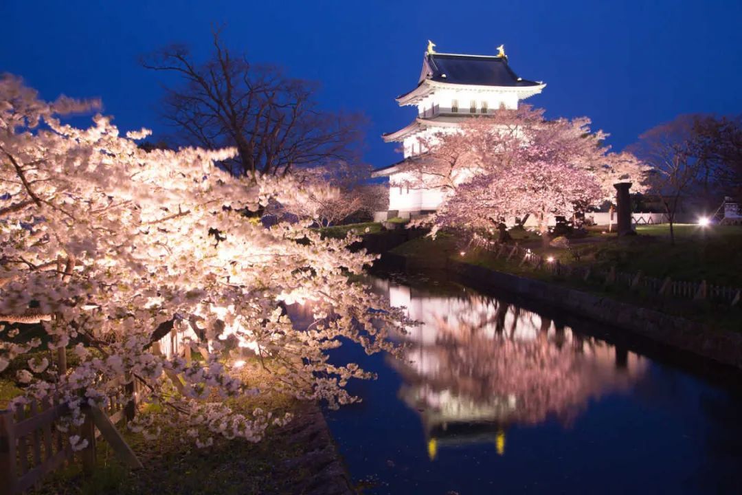 今年日本樱花还能看吗,日本4月底还有樱花看吗