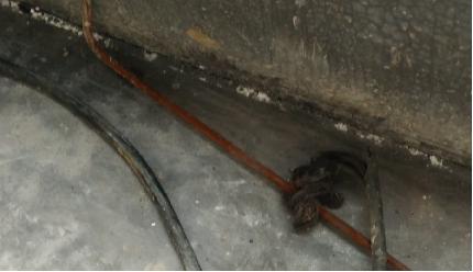 电焊机使用注意事项及安全图示,工地上使用电焊机检查哪些