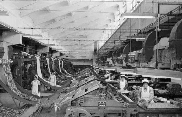 从工厂小妹逆袭为申通霸总，146亿卖掉申通后，靠卖雨伞又挣200亿