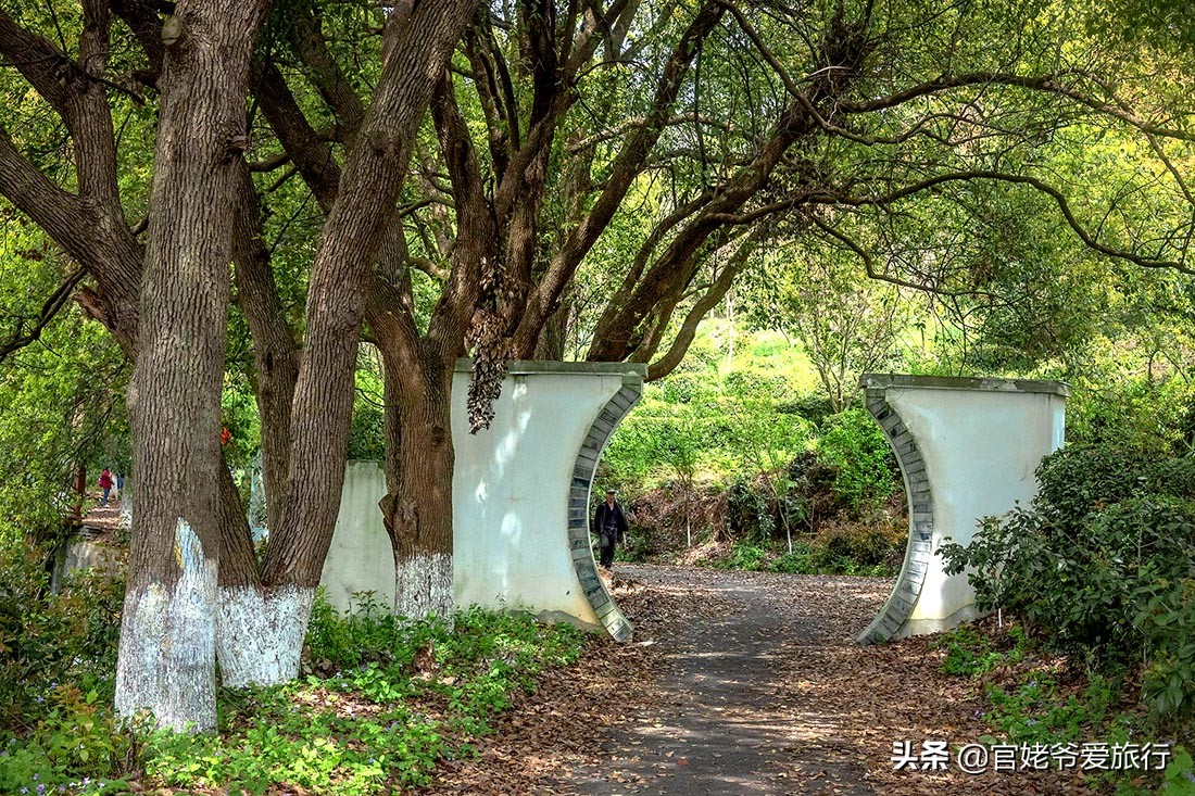 武汉黄陂茶谷风景区,武汉市黄陂区后花园