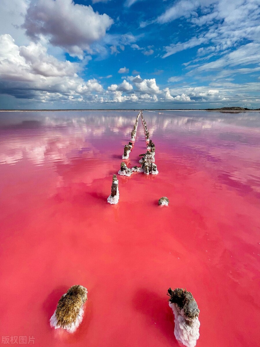 传奇故事：假小子的荒诞缅甸人生