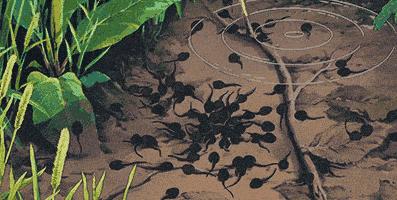 男科门诊最易碰到的四种坑,男科常问问题解答