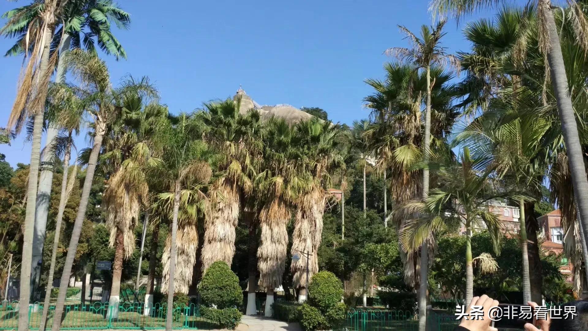 回忆一下我在厦门的生活,厦门是个慢生活的都市