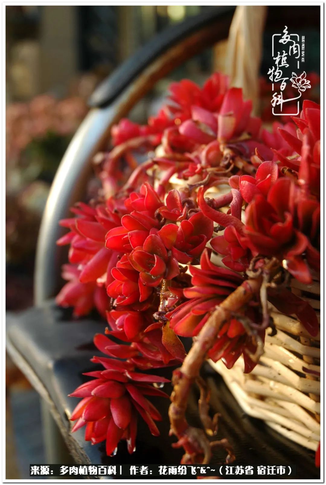 回味童年无忧无虑的快乐时光,童年最快乐的时光