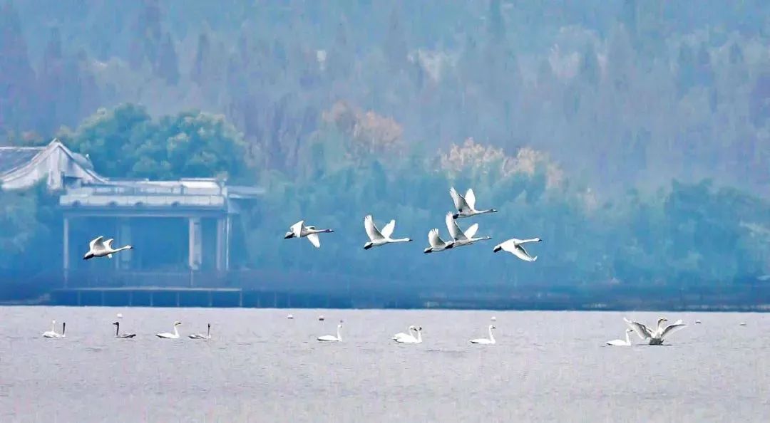 徐州春游野餐的好地方推荐,徐州最新春游推荐