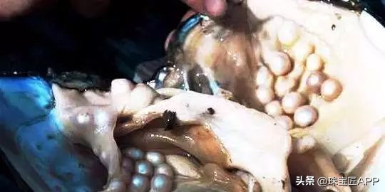 宝石类珠宝有哪些,珠宝六大经典宝石