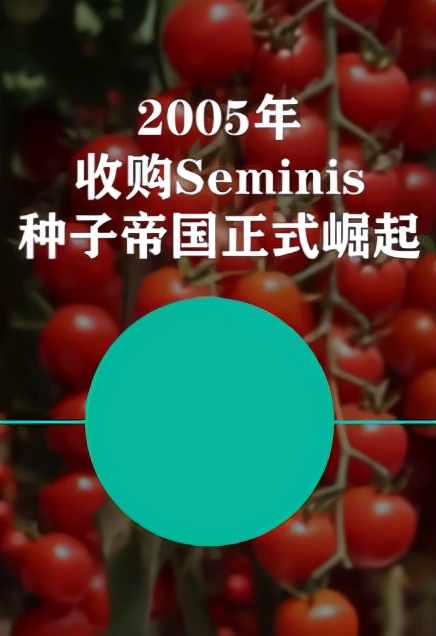 种子危机孟山都,种子巨头孟山都