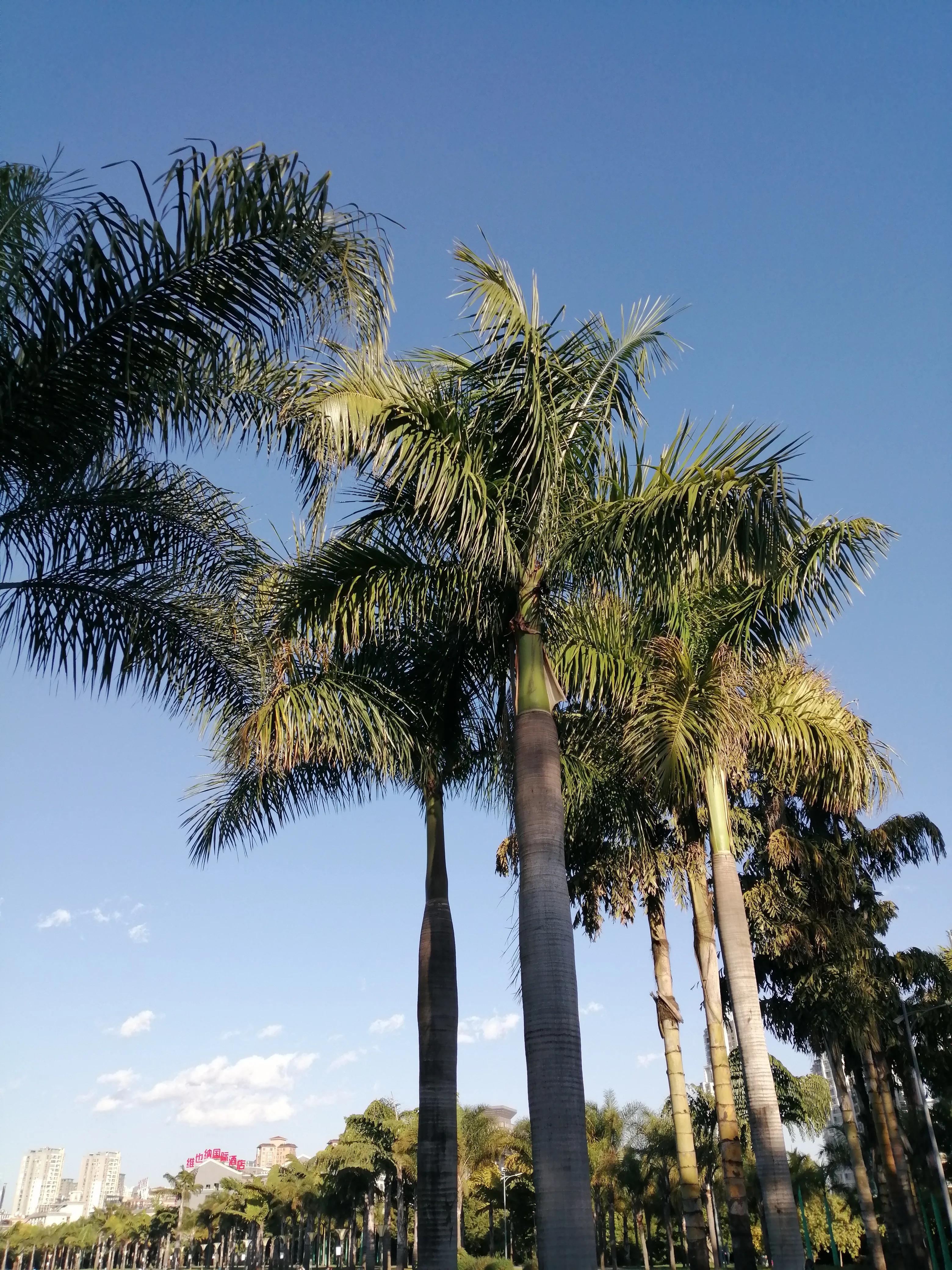 旅居云南弥勒6个月，我不再轻言离去