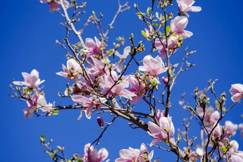 宾得新款16-50评测,宾得镜头18-135样片测评