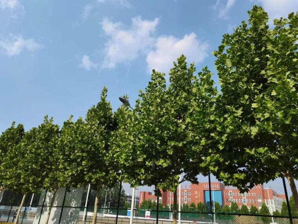 民办高校教师现状,民办本科高校教师前景如何