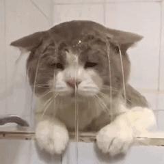 医疗险重磅消息,医疗险排行榜前十名