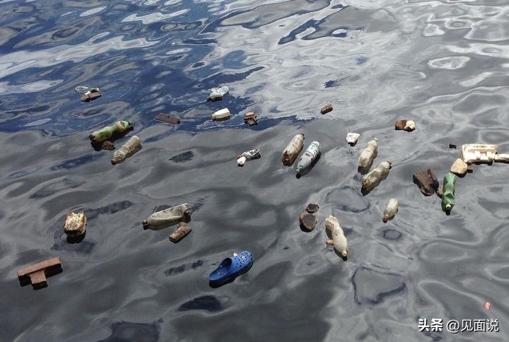 蓝洞潜水全过程,潜水员第一视角海底宝藏