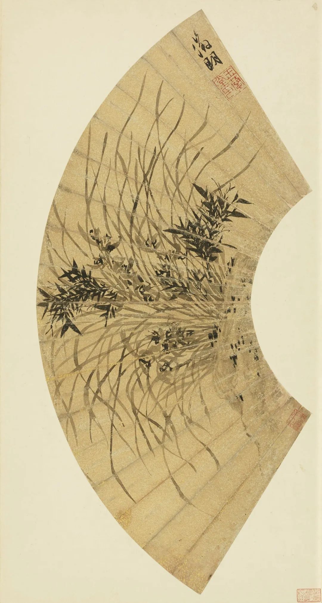 慕容看世界的视频,慕容看世界所有视频