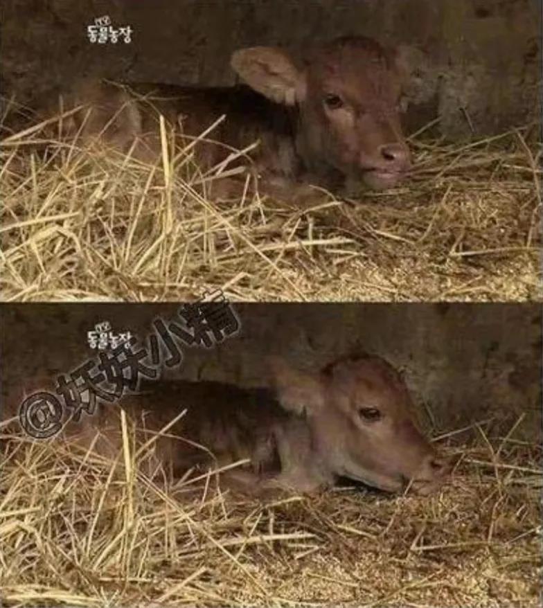 出生时没有肛门，有人却说要养他一辈子