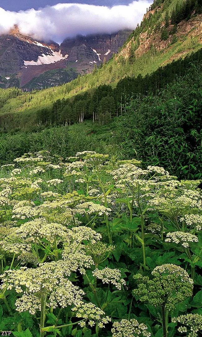太美了100张人间美照,太美了最美中国红