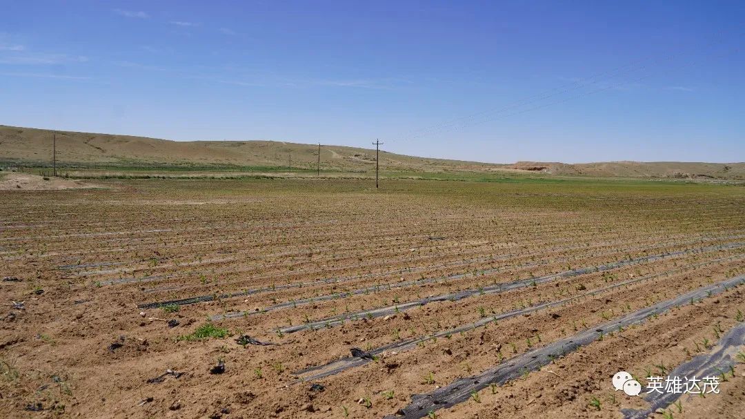 乡村行看振兴玉林,乡村行看振兴山西