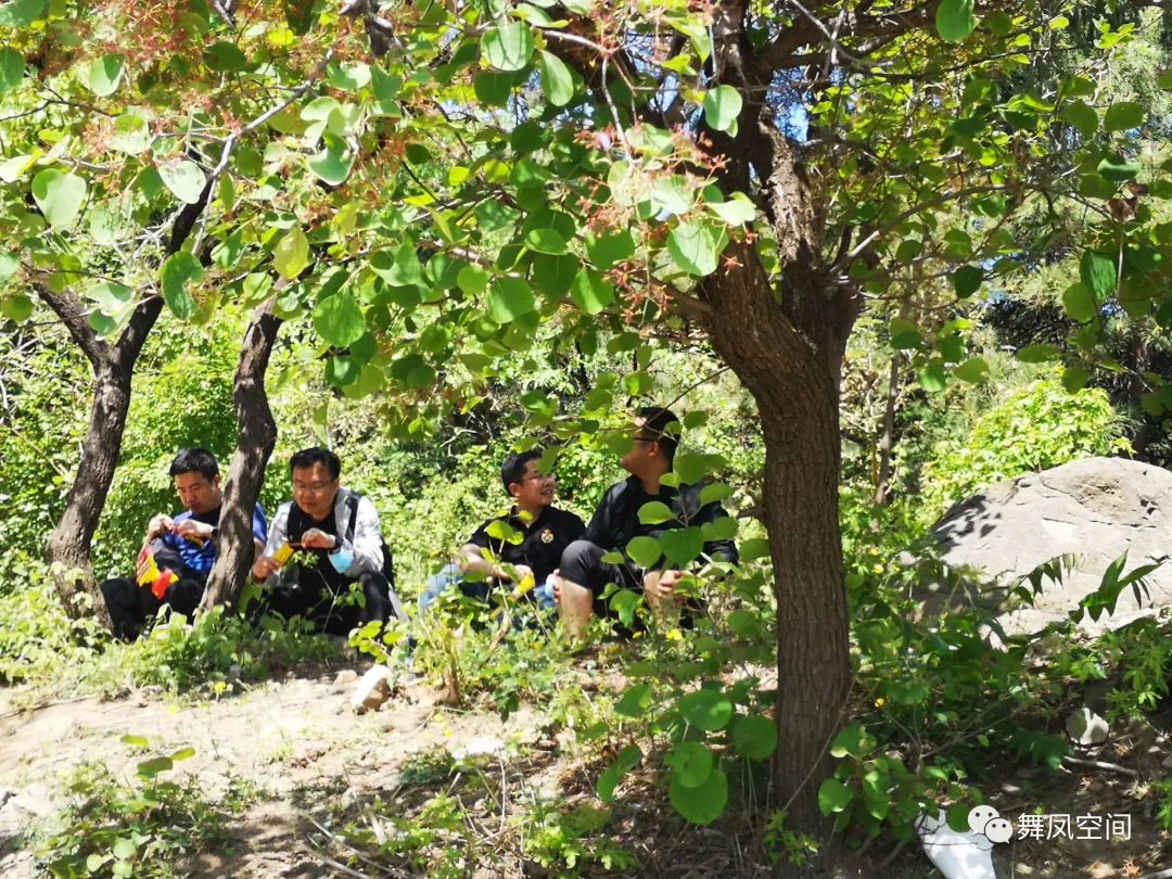 西山国家森林公园海拔,西山国家森林公园昆明