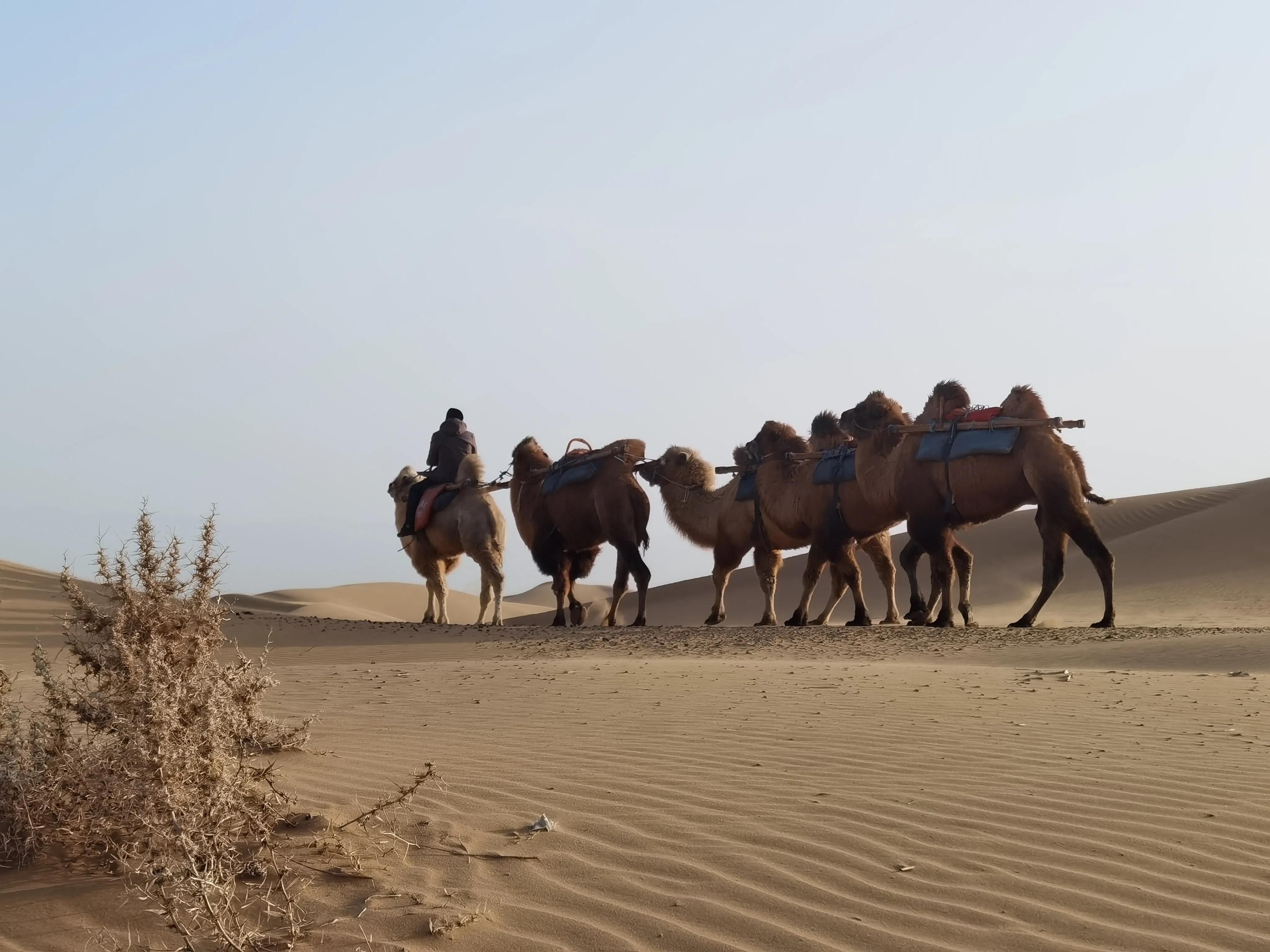 手拍世界作品专集,手拍世界283期