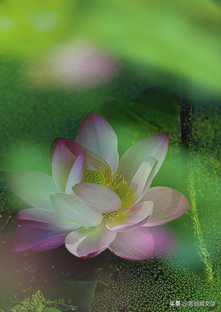 为艺术多一次曝光