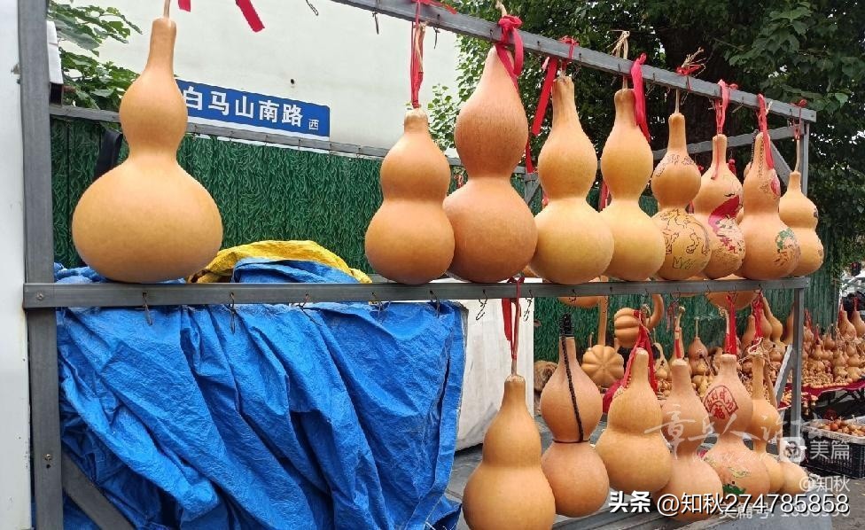 中秋来赶集,中秋赶集视频