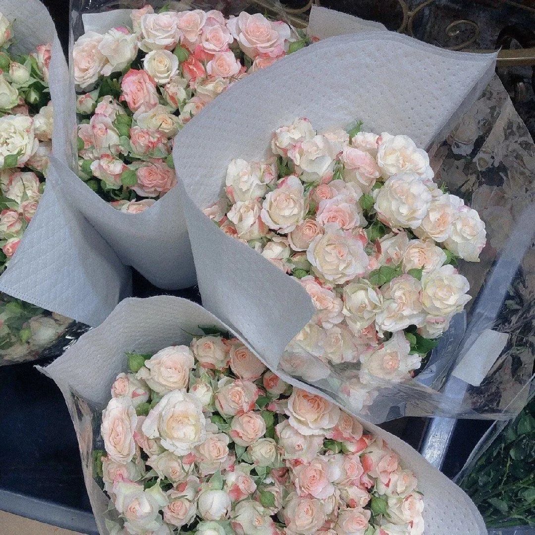 背景图ins风鲜花,ins复古黑色鲜花壁纸