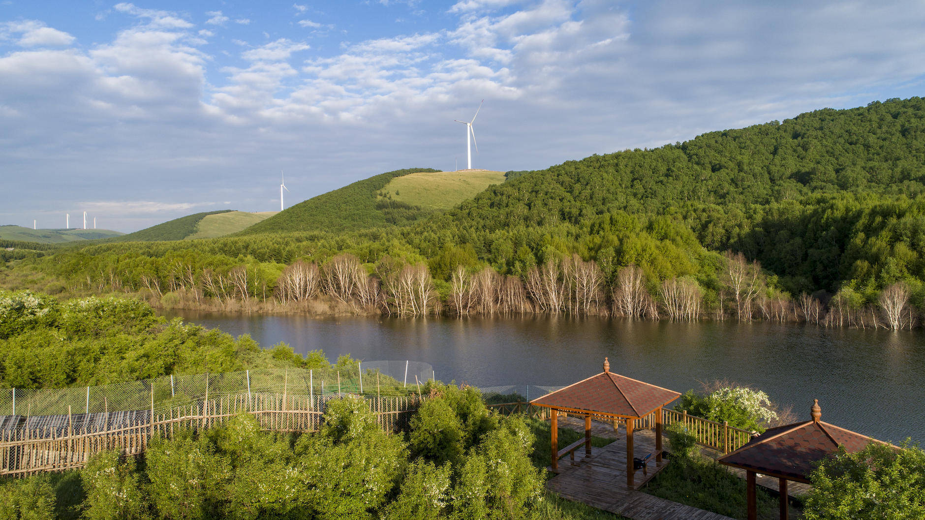 丰宁坝上草原的夏天,丰宁坝上草原夏天景色