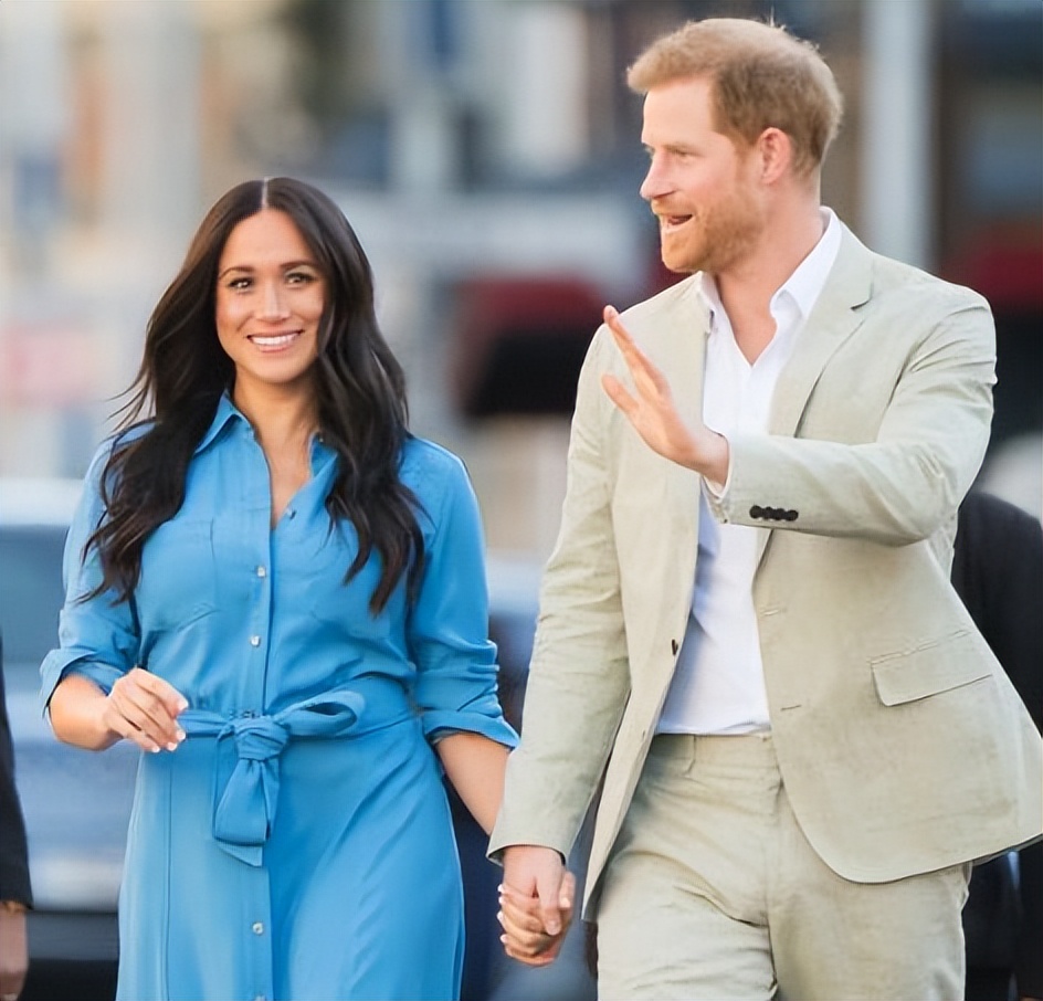 梅根哈里赚钱,梅根哈里靠什么赚钱