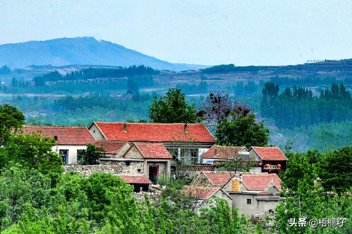 大爷爷和*奶大**奶的一生