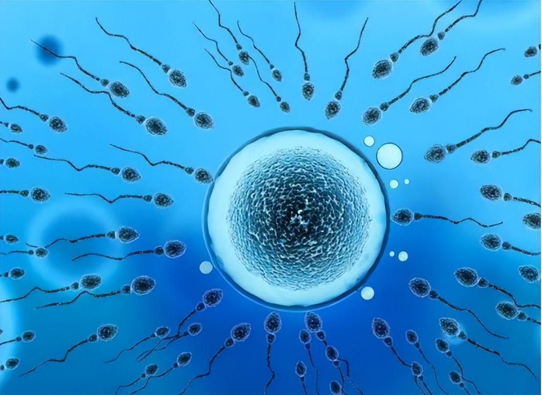 女大学生贪慕虚荣被骗,女大学生贪慕虚荣以为真爱