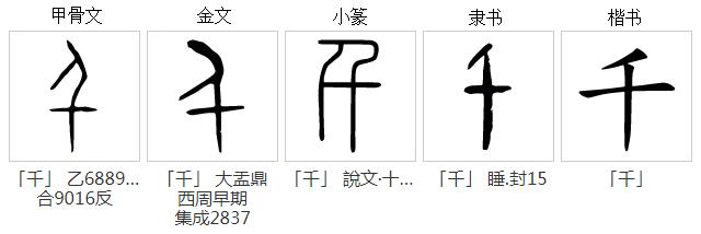中国数字的起源简介,数字的演变发展史