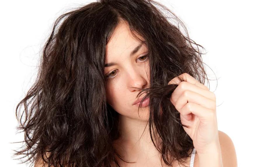 为什么头发越长越分叉,为什么头发一长就容易分叉