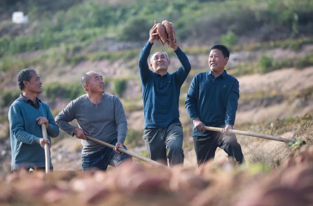 临朐县九山镇：“九”久为功“山”乡蝶变（朱林明）