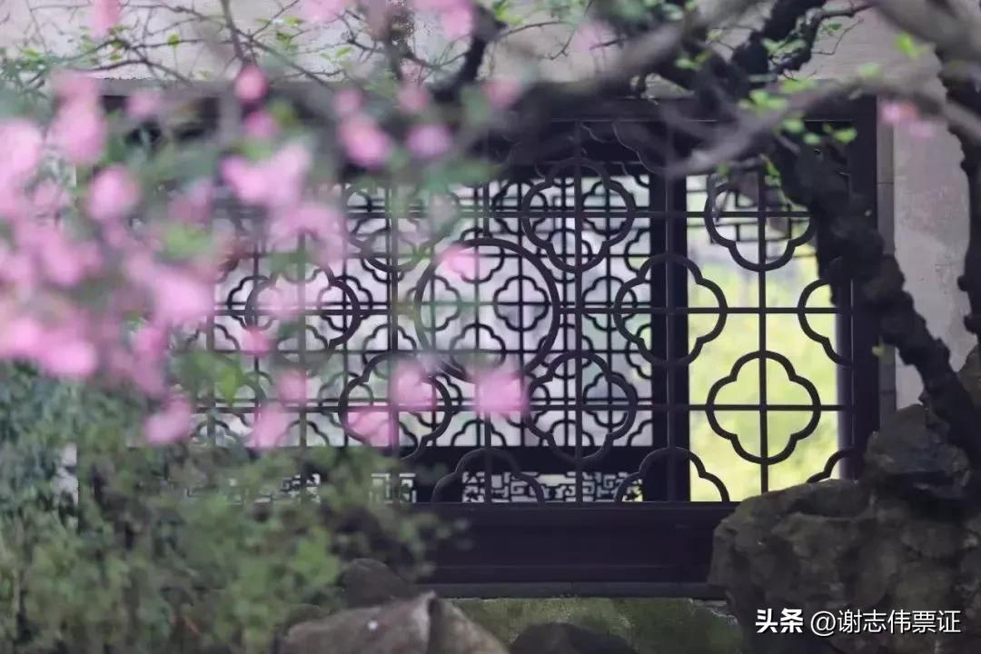 苏州古典园林各个景观特色,苏州园林风景美感极致