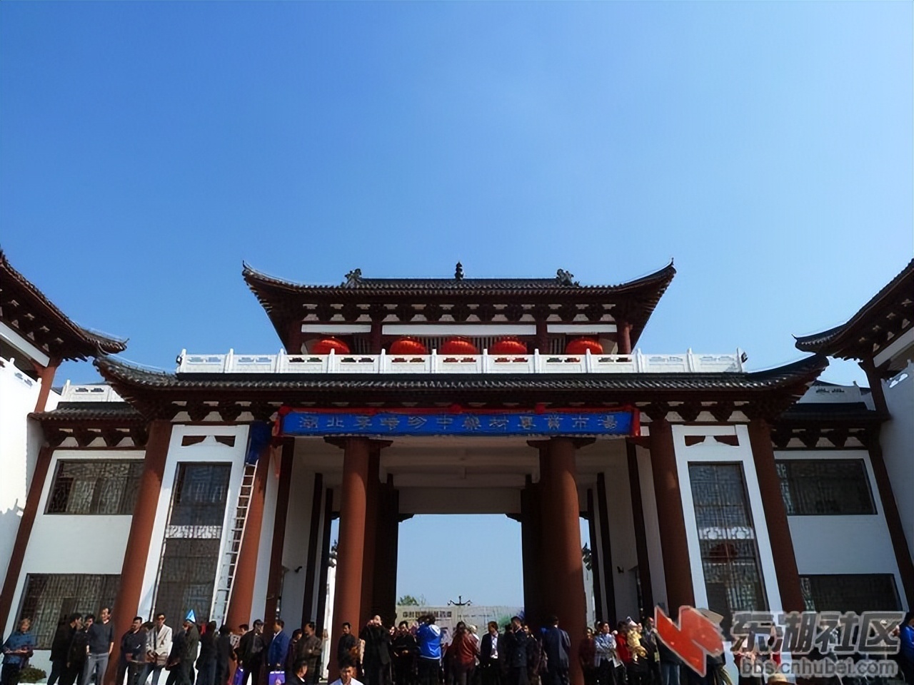 湖北省蕲州县中药材专业市场,蕲春中药材交易市场全国排名