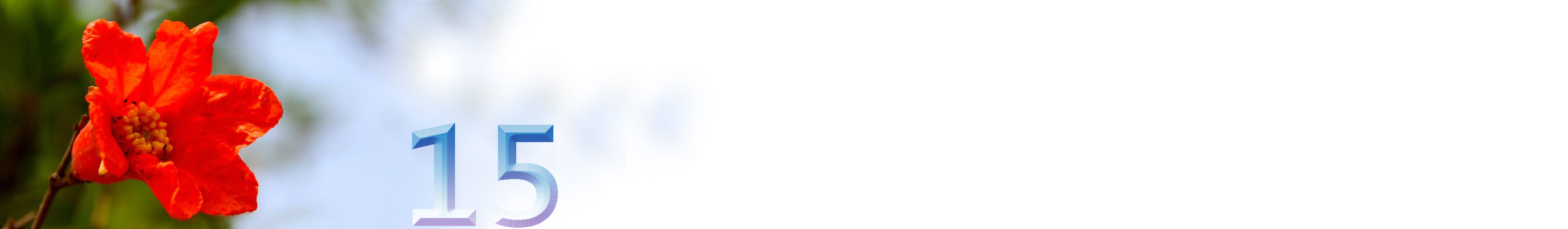 五月石榴花开的唯美诗句,关于石榴花的美文和诗句