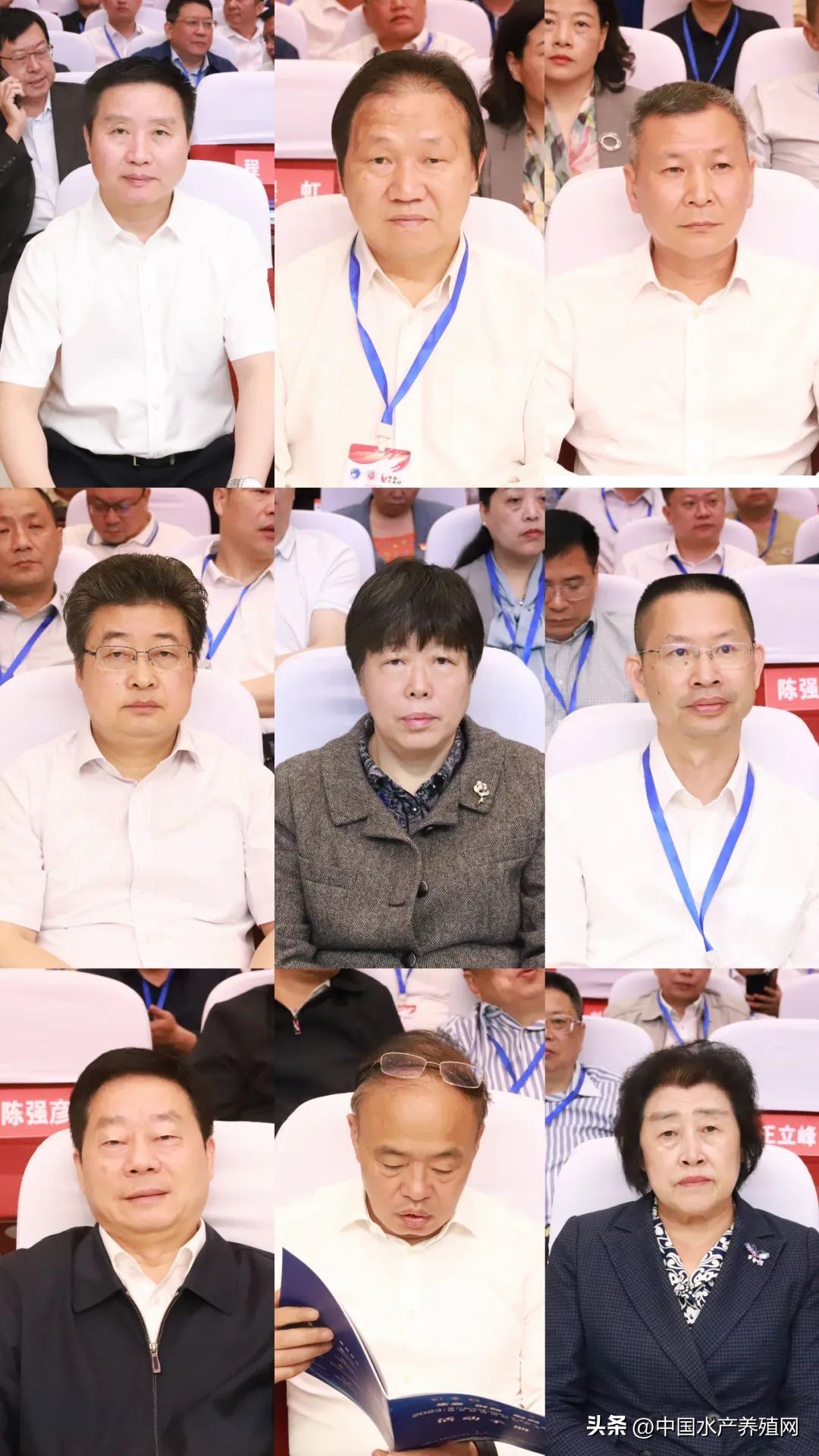 2023年南县小龙虾价格行情,南县小龙虾价格报价