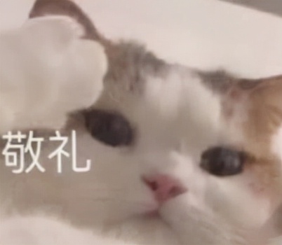 新媒体运营工具的使用,新媒体运营工具