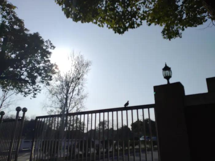 画与景,幼儿长卷画景