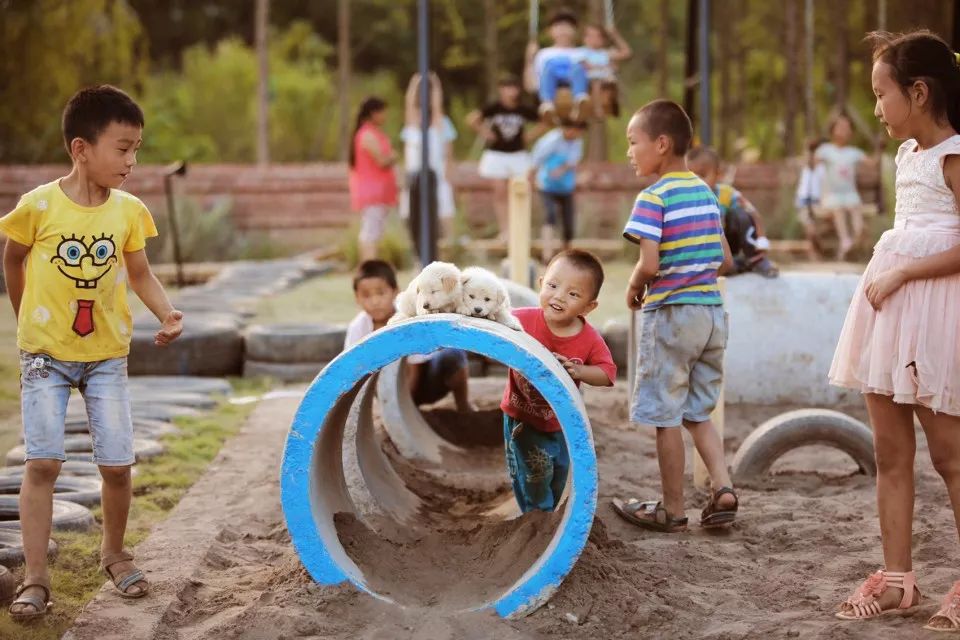 10个极具设计感的乡村改造,乡村创意改造景观