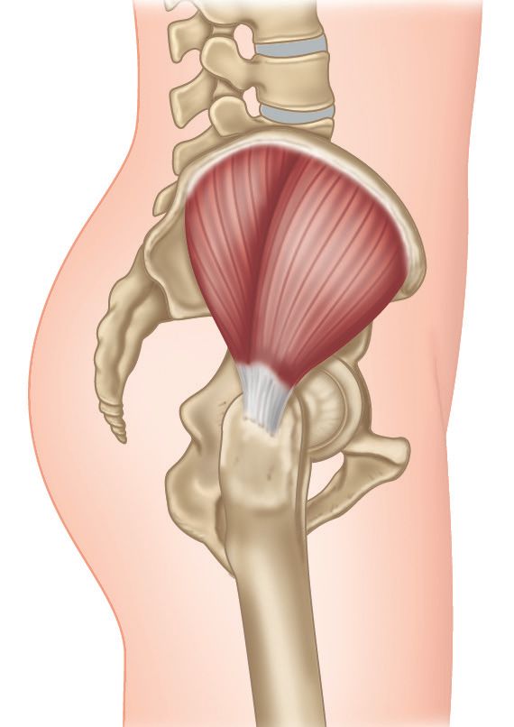 臀肌力量不足容易受伤,臀肌不稳定会导致外侧弹响吗