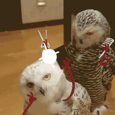 瘦双下巴的最快方法男人,怎么样可以瘦双下巴一天就见效